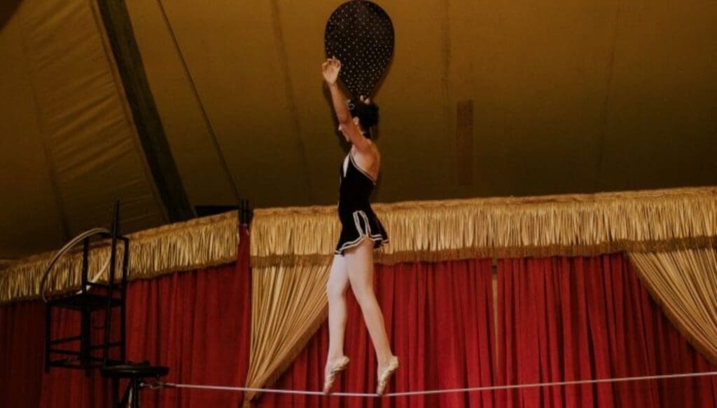 Festival do Circo de Florianópolis