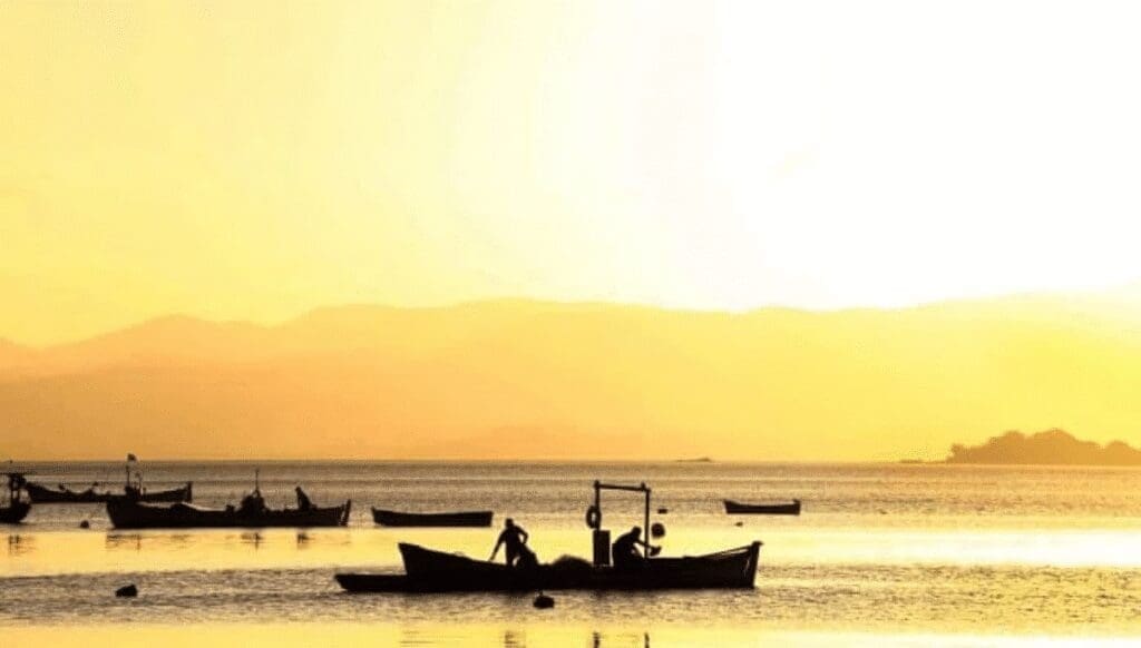 baleeiras da ilha